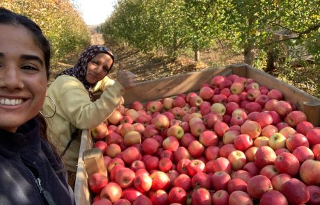האכילה מעץ הדת
