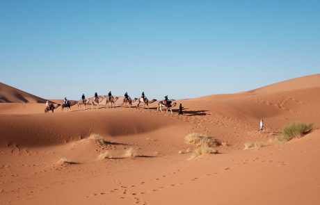 ניידים ונייחים – במדבר, בציון ובירושלים