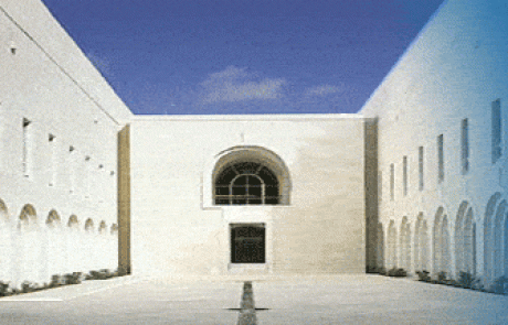 חוכמת המשפט