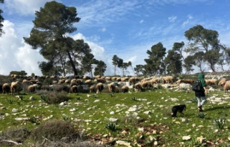 כך מתקתקים מהפכה מעבר לקו הירוק