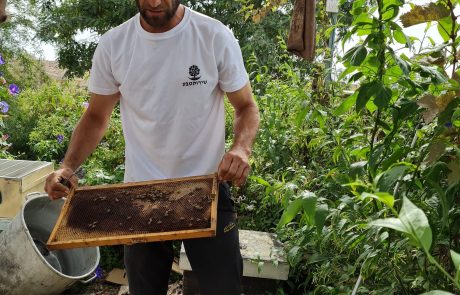 מהכוורת לשולחן החג