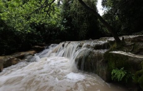 שייכות קהילתית בימי הקיץ